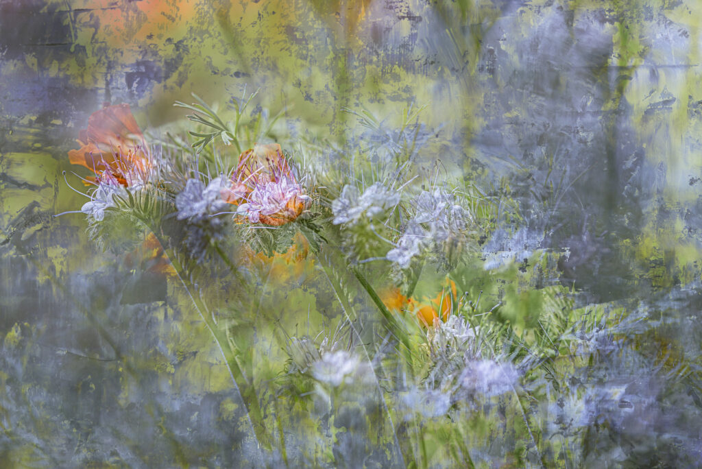 Technique photographique visant à texturer l'image originale