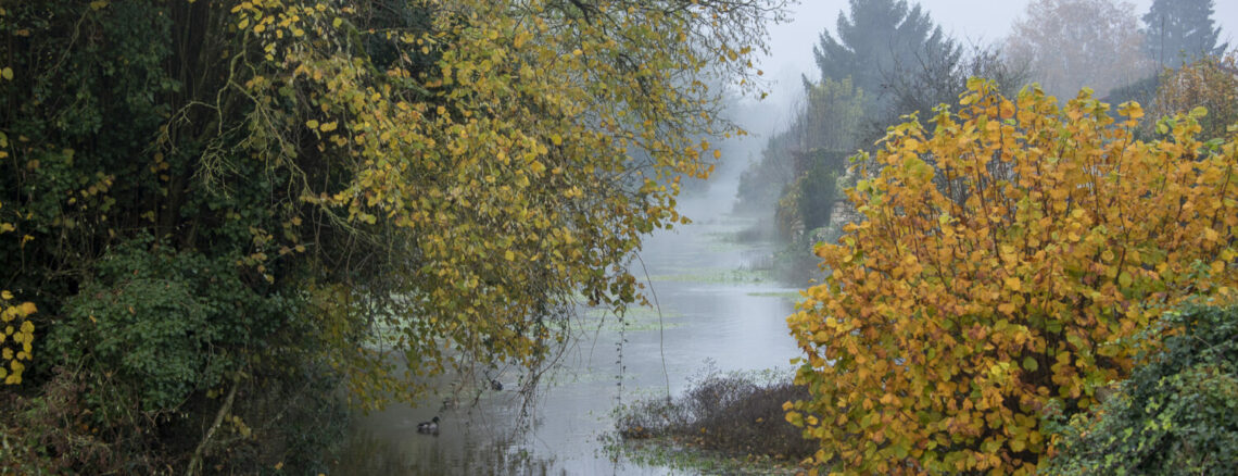 EAU - La Sèvre Niortaise à la Crèche dans les Deux-Sèvres en Nouvelle Auitaine