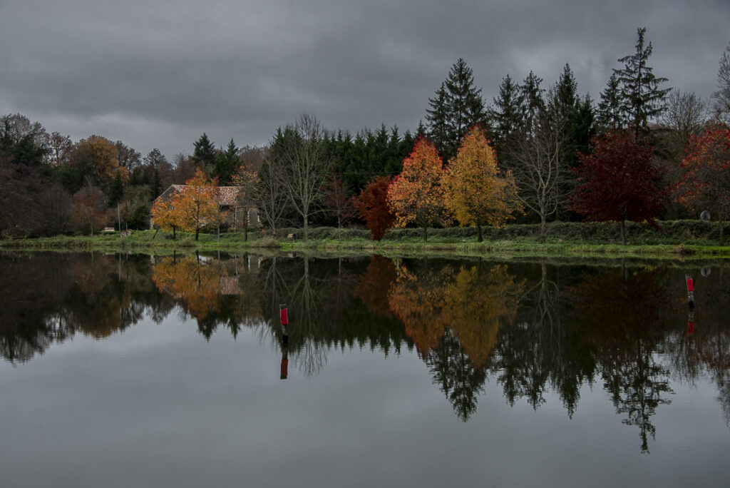 Les quatre éléments : eau -  Etang du Roy à Montreuil Bonnin