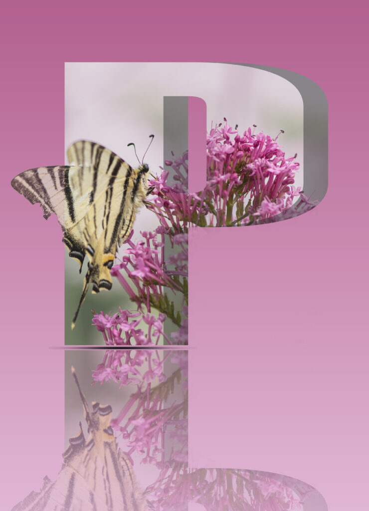 création lettre 3D - papillon - couleur rose