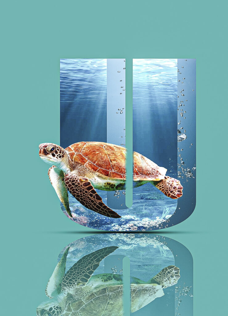 création lettre 3D - animal marin - couleur bleue et verte