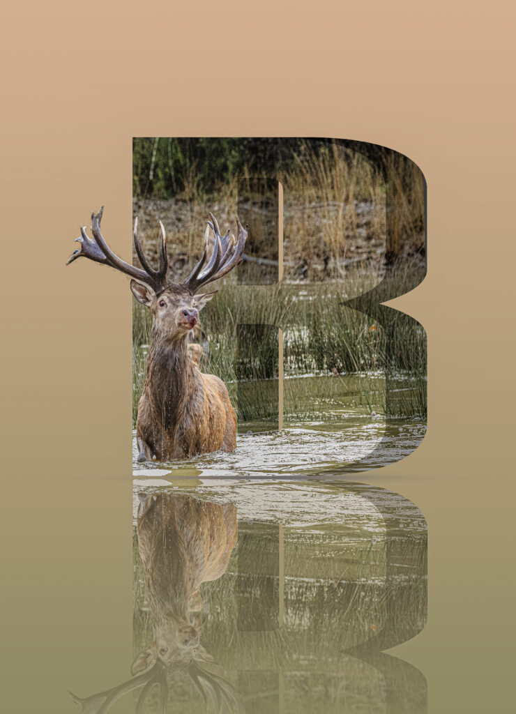 création lettre 3D - cerf - couleur automne