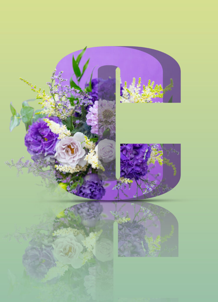 Photomontage lettres 3D avec des flerus