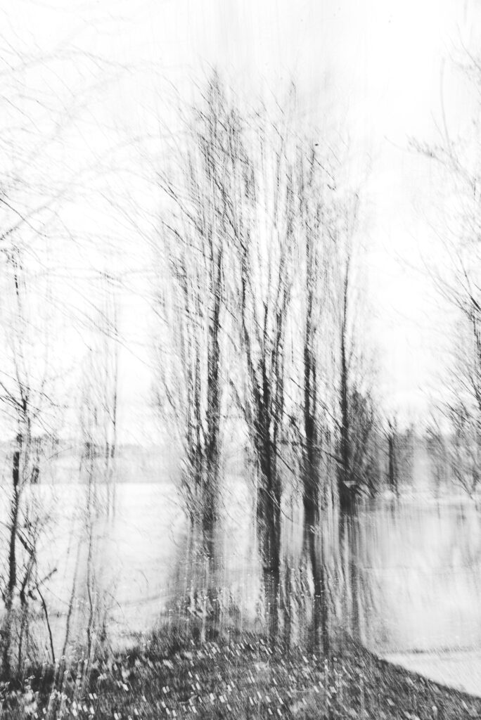 « Série d’arbres en forêt capturée avec effet de mouvement, produisant une image abstraite et dynamique. »