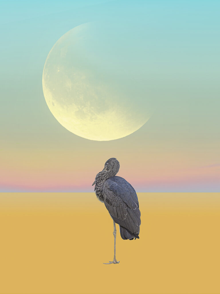 Photomontage artistique surréaliste pour illustration conceptuelle moderne